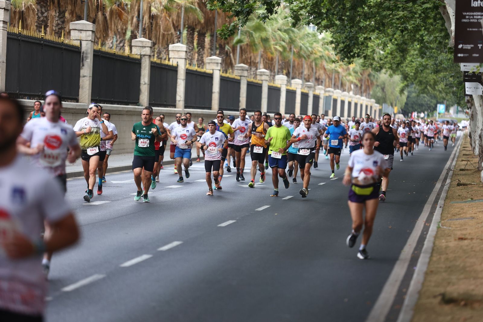 Las mejores fotos de la Carrera Ponle Freno en Málaga