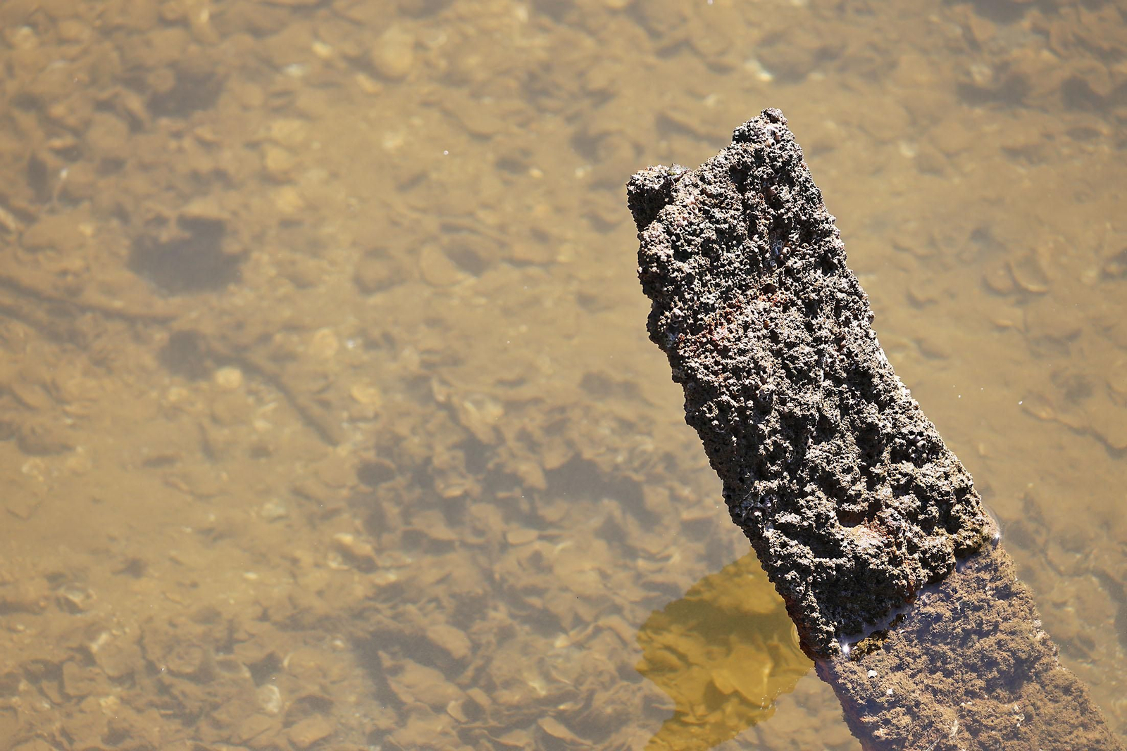 Las imágenes más destacadas del domingo 8 de septiembre en Huelva
