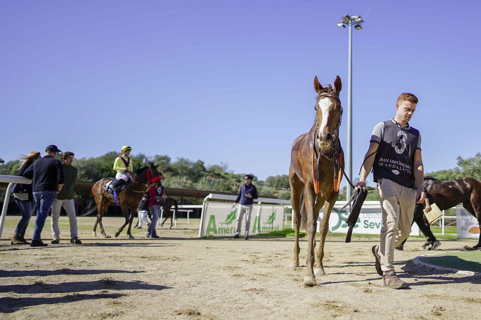 Las fotos del Premio Diario de Sevilla en el hipódromo de Dos Hermanas