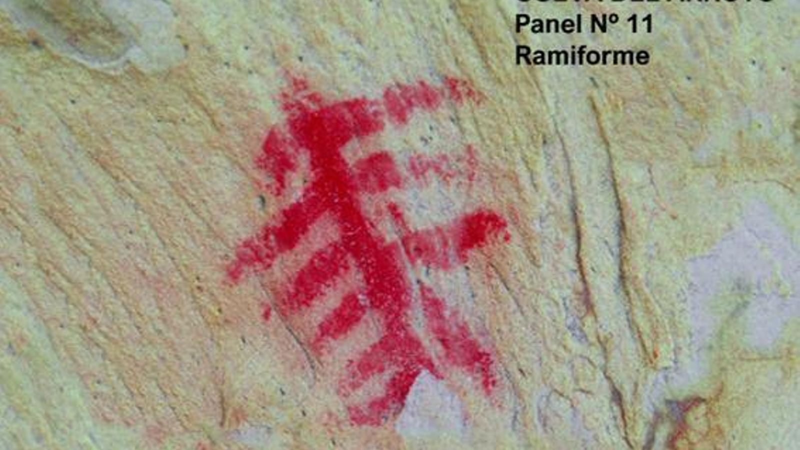 Lámina 4. Fotografía tratada con Dstretch del panel nº 11.