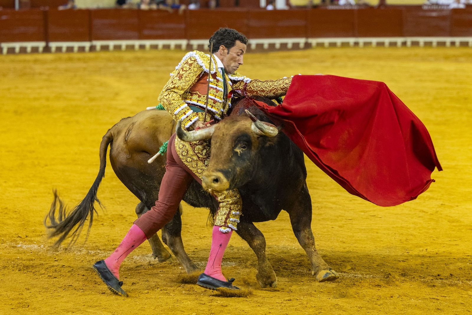 En imágenes, la última corrida de toros del verano en la plaza de El Puerto de Santa María