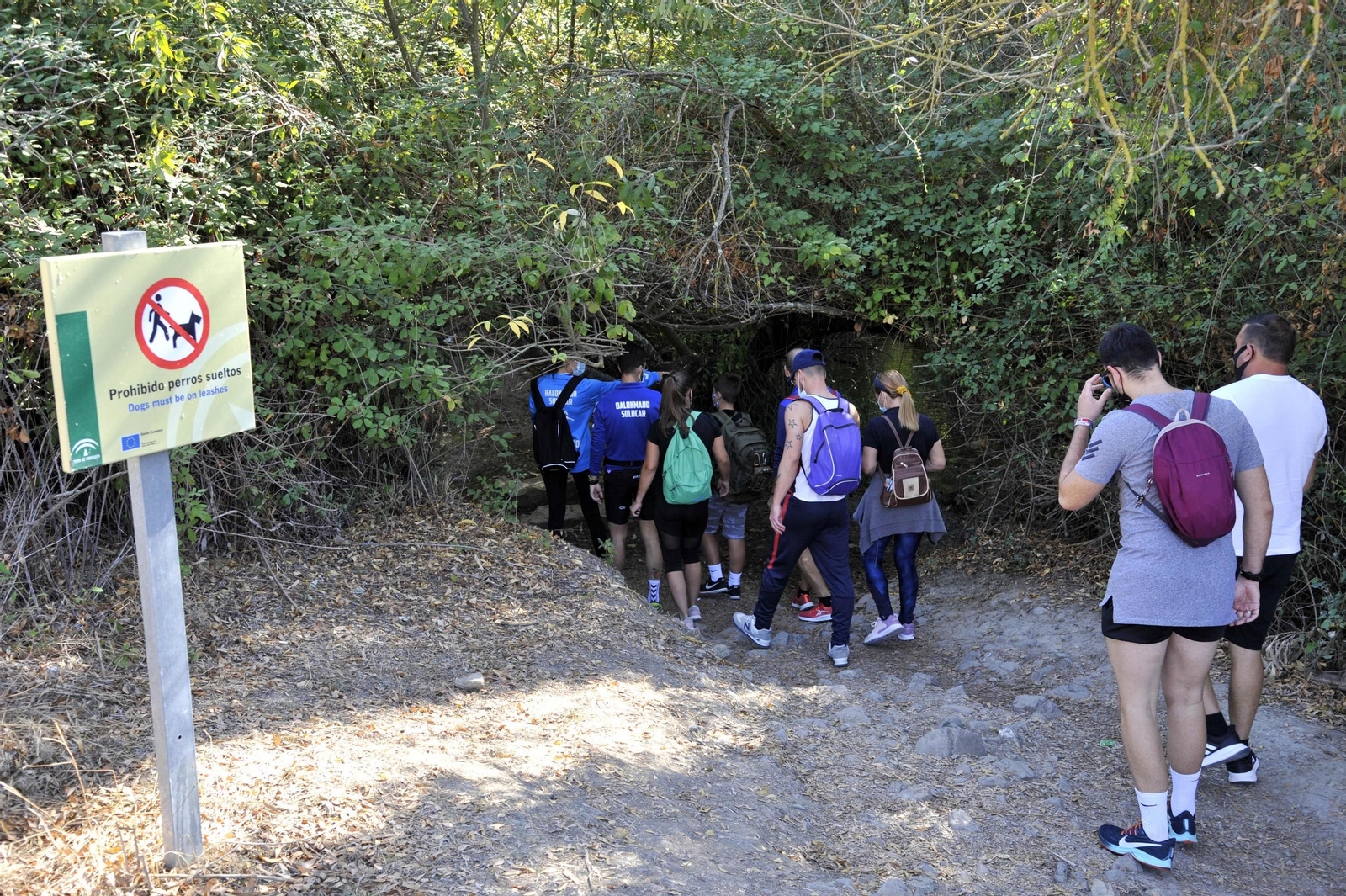 Nuevo lleno de visitantes en El Bosque