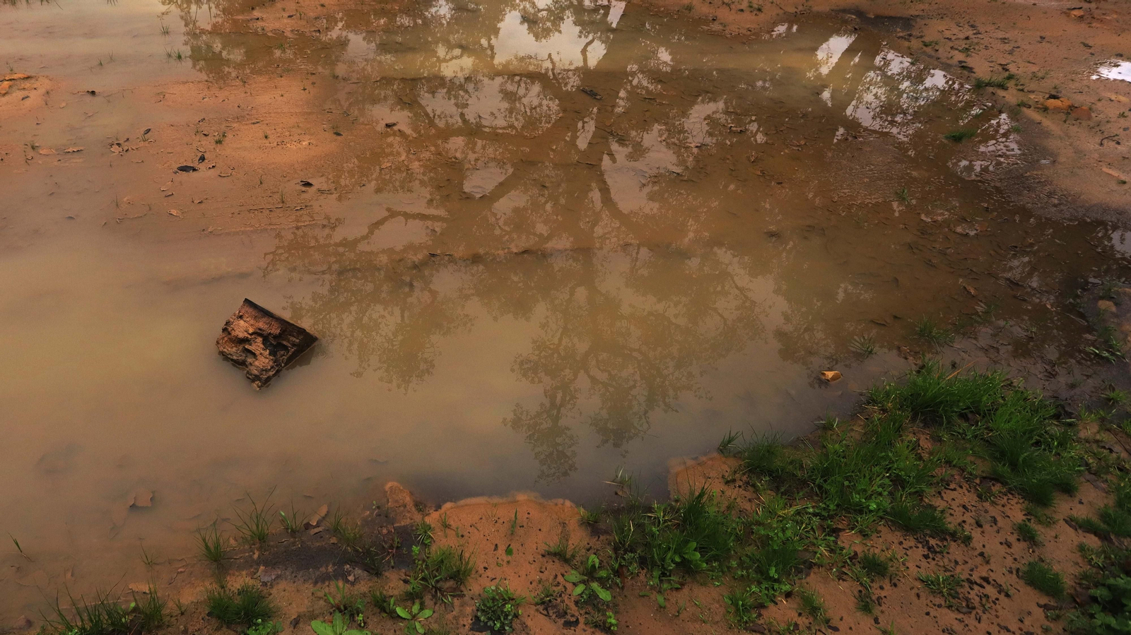 Fotos del pantano de Charco Redondo