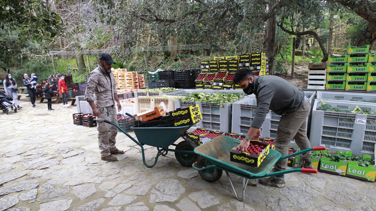 La llegada, ayer, de ocho toneladas de fruta y verdura. La llegada, ayer, de ocho toneladas de fruta y verdura.