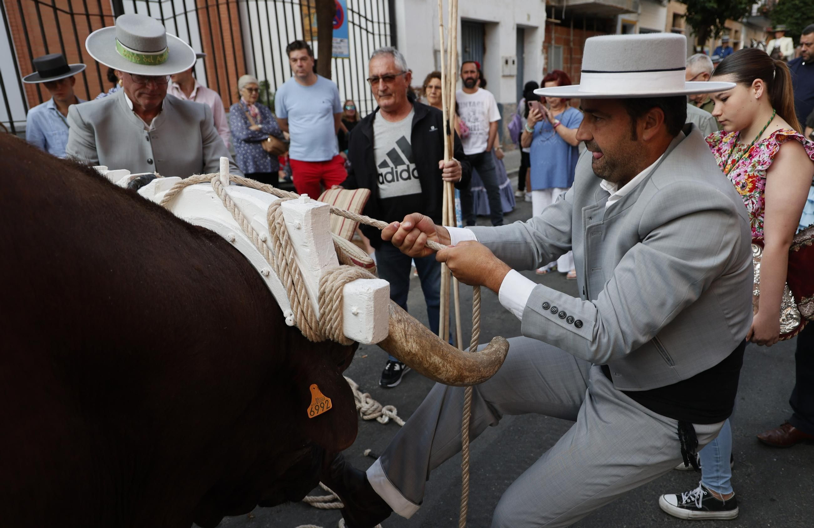 La salida de la Hermandad del Cerro en imágenes