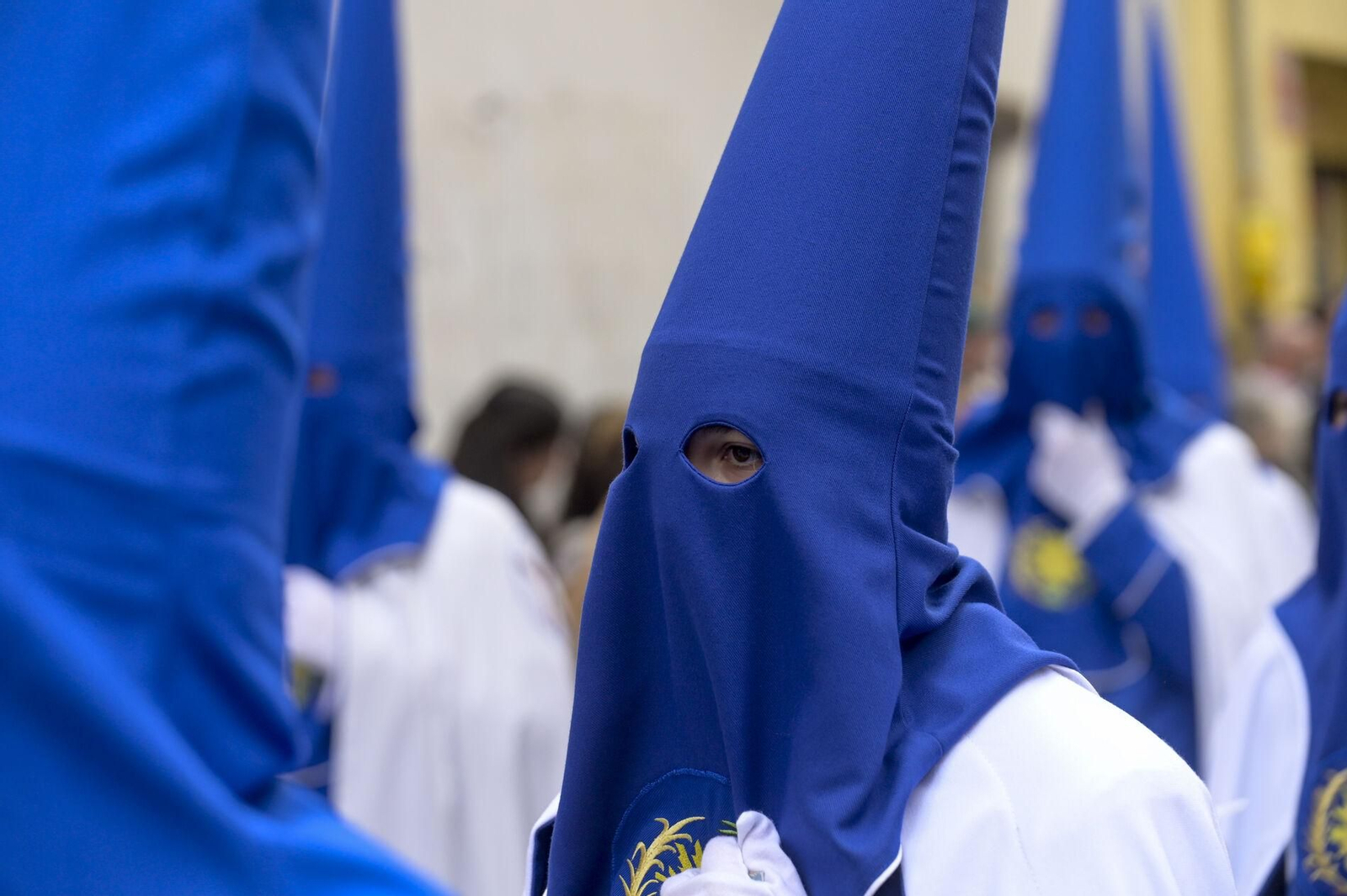 Así vivió Granada la salida de la Hermandad de la Borriquilla 2025