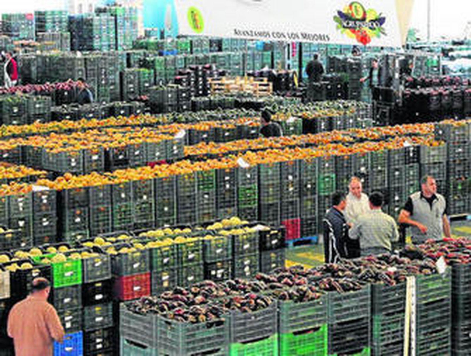 Agrupaejido se INMOLA