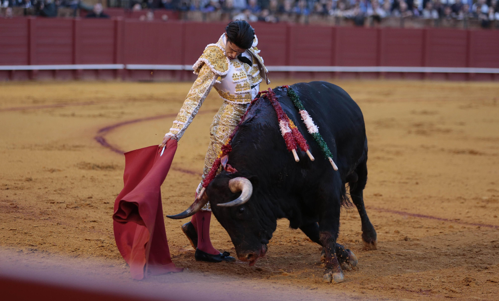 Alejandro Talavante.