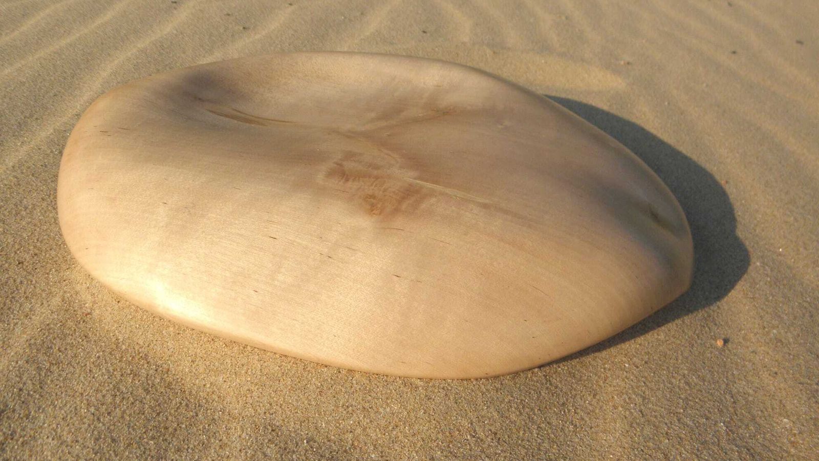 Imagen de 'Primordial' en primer plano, obra de Serena Fortín.