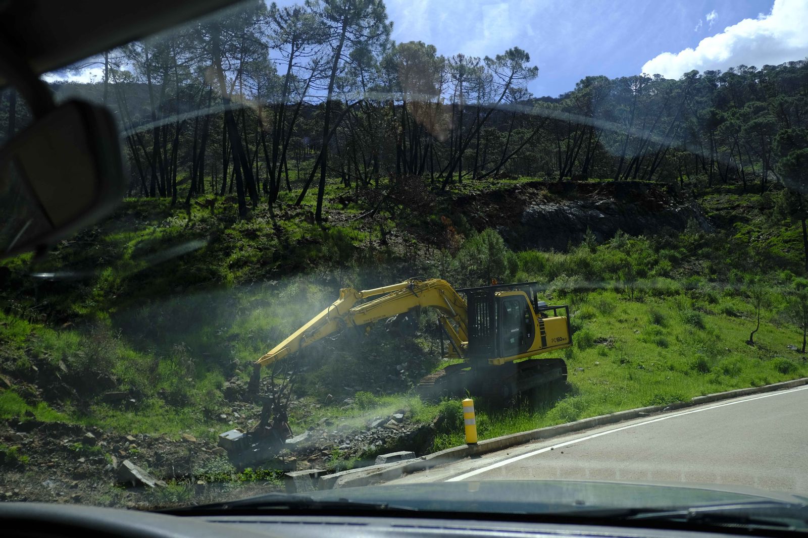 Así se recupera Sierra Bermeja tras el incendio (fotos)
