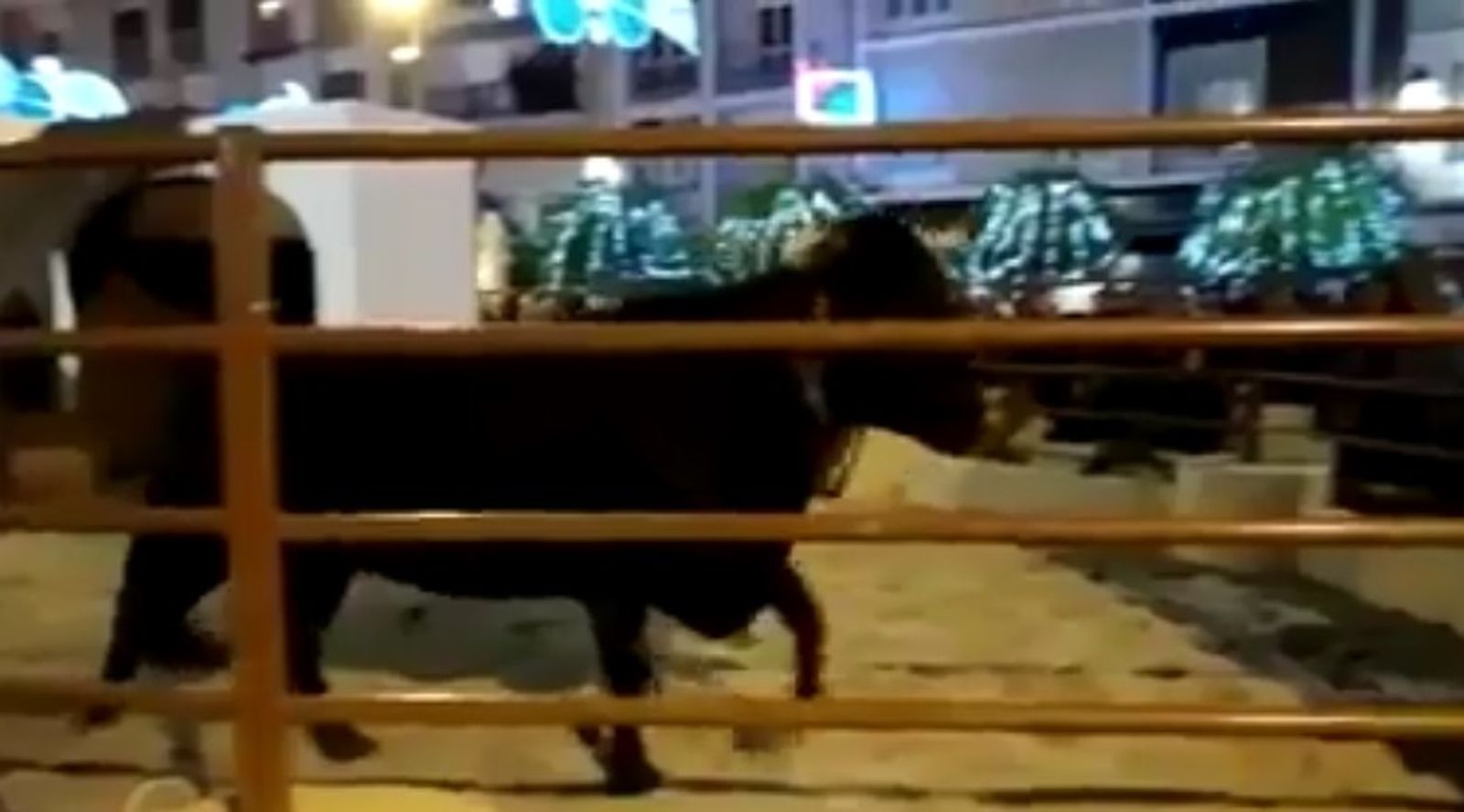 Captura del vídeo colgado en el Facebook de Pacma.