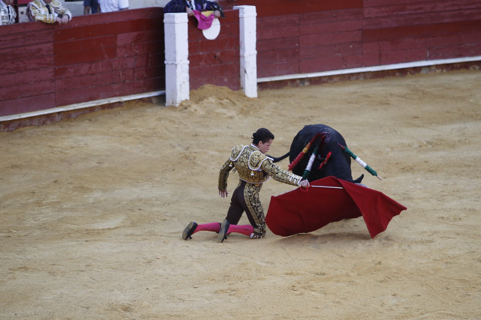 Fotogalería novillada Escuela Taurina de Almería. Feria de Almería 2019