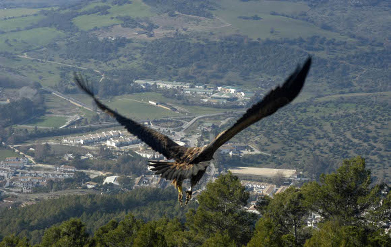 La Sierra de Grazalema, entre los destinos rurales más demandados en 2013