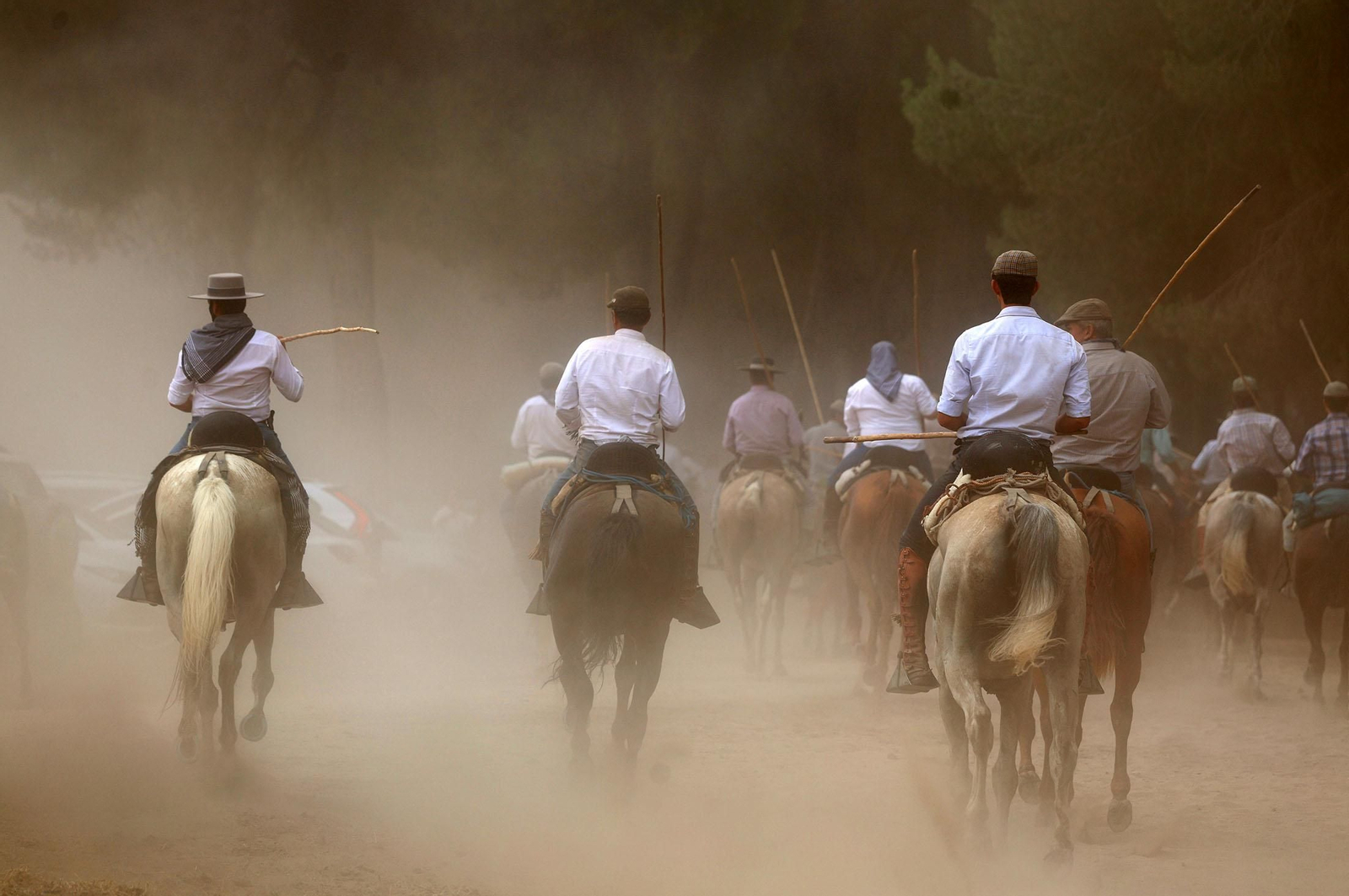Imágenes de la tradicional Saca de las Yeguas