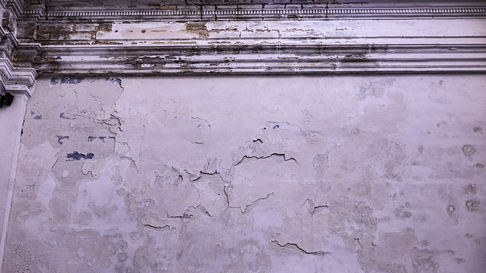 Las imágenes de los efectos de la lluvia en la Parroquia de Santa Cruz (Catedral Vieja) de Cádiz