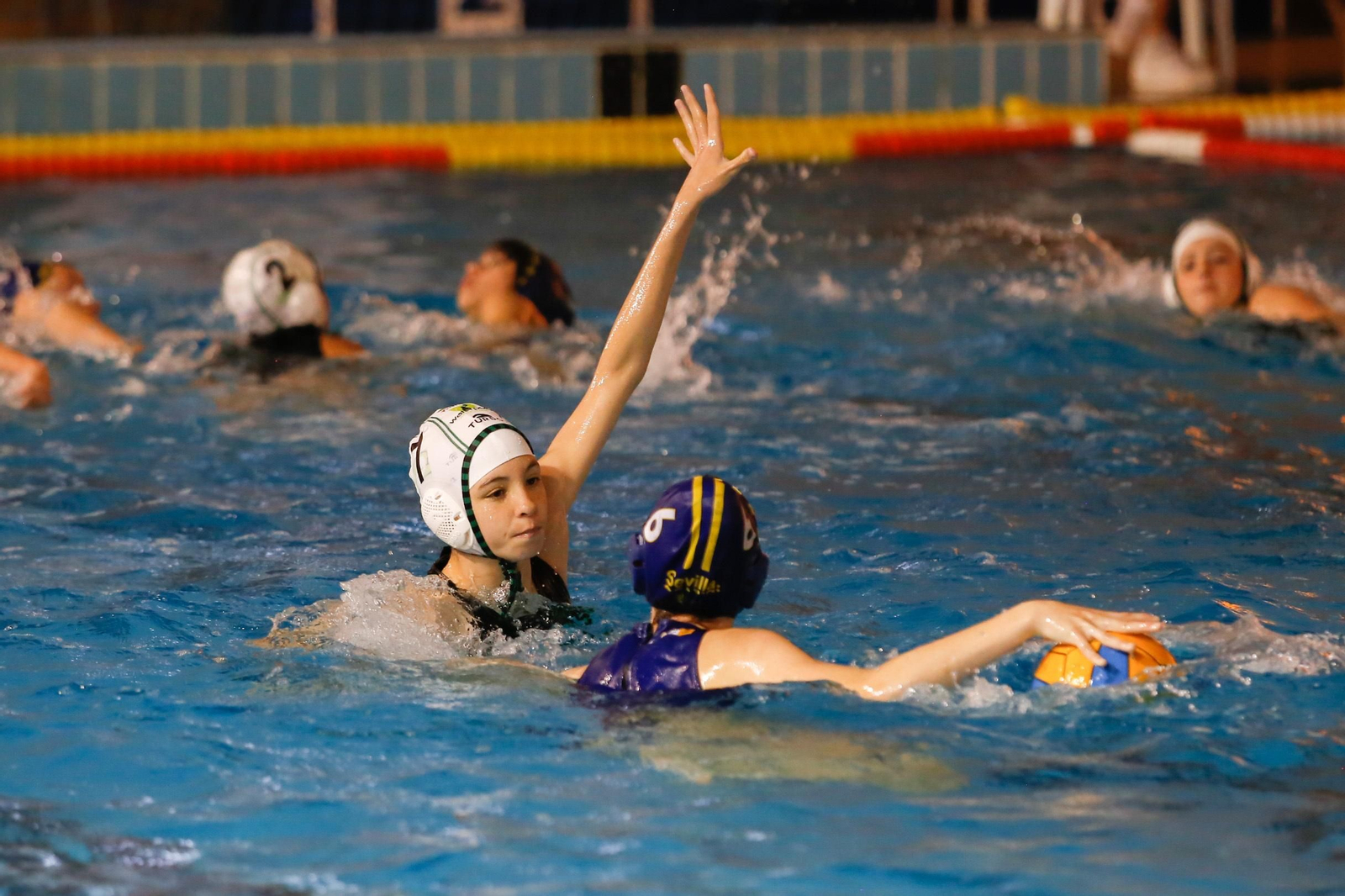 Fotos de la Liga Andaluza de waterpolo femenino Fotos de la Liga Andaluza de waterpolo femenino