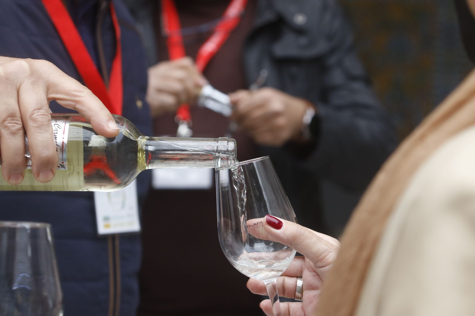 La presentación en sociedad de los vinos nuevos de Moriles y Montilla, en imágenes