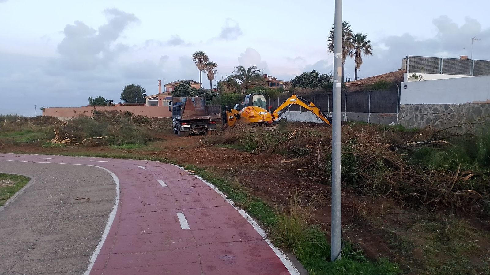Trabajos de desbroce en el paseo Antonio Ariza.