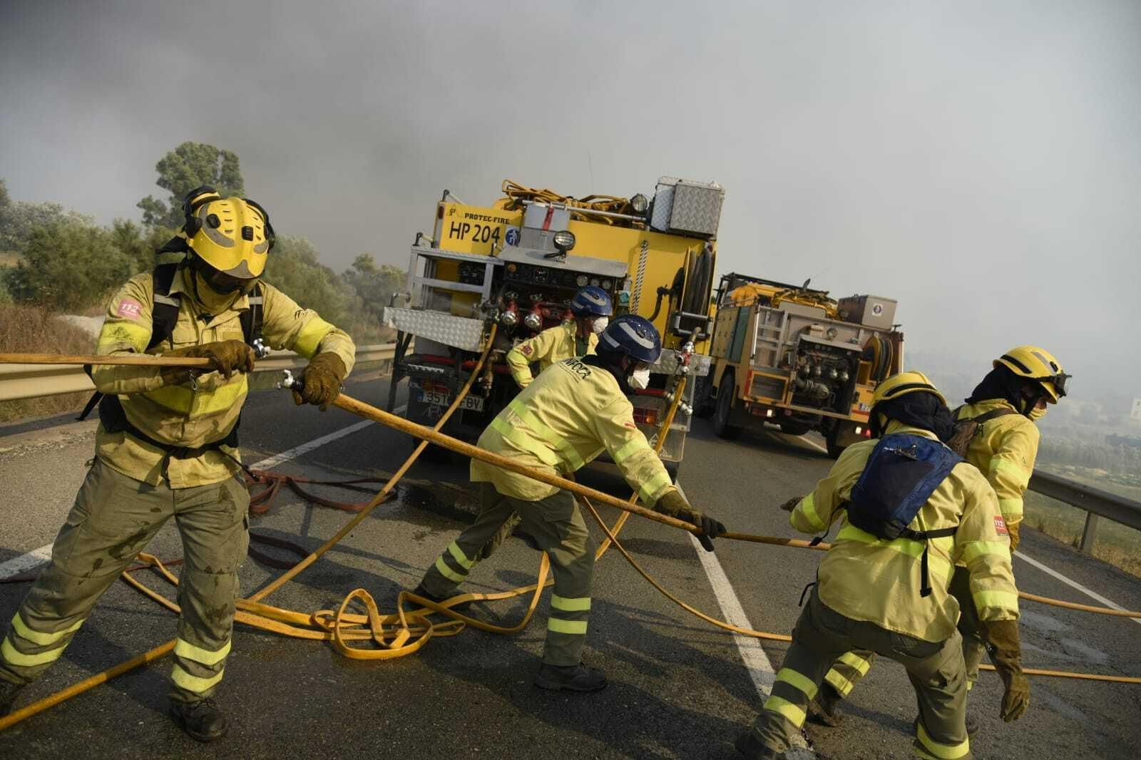 Imágenes del incendio forestal de Bonares