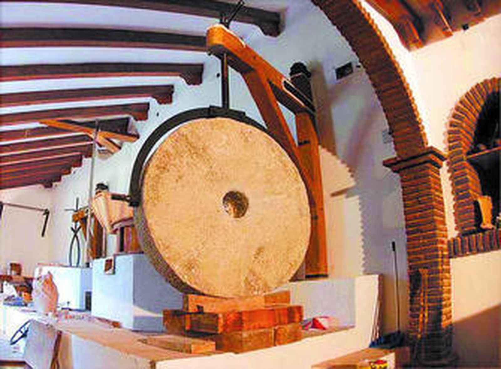 En contacto con la naturaleza