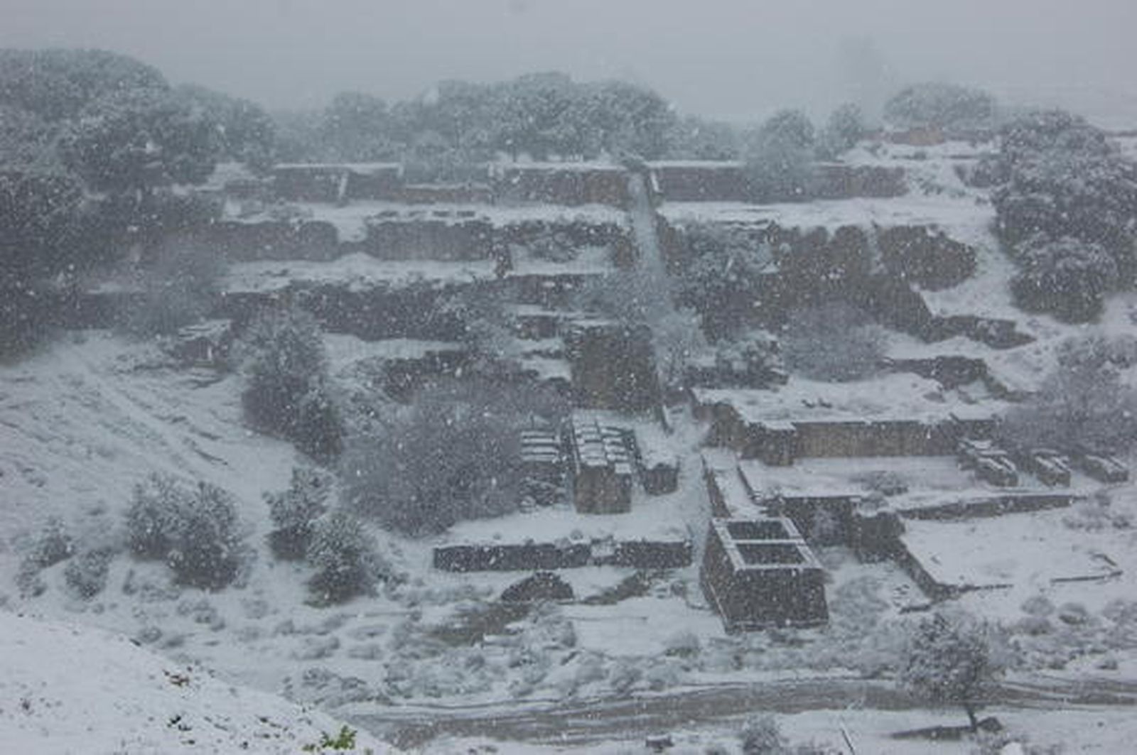 El Muriano

Foto: De Arellano