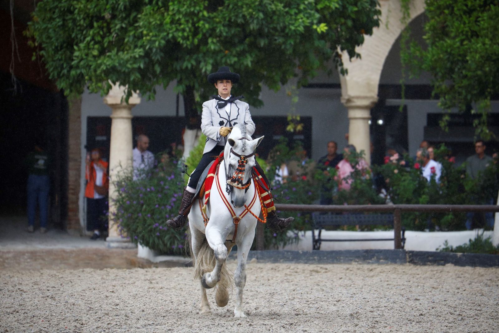 La celebración de la VI Copa de España de Alta Escuela en Córdoba, en imágenes