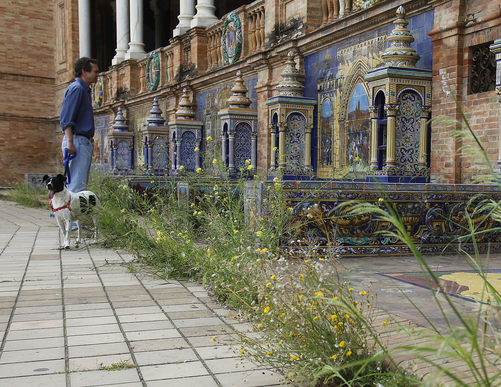 Abandono en la Plaza de España por el confinemiento