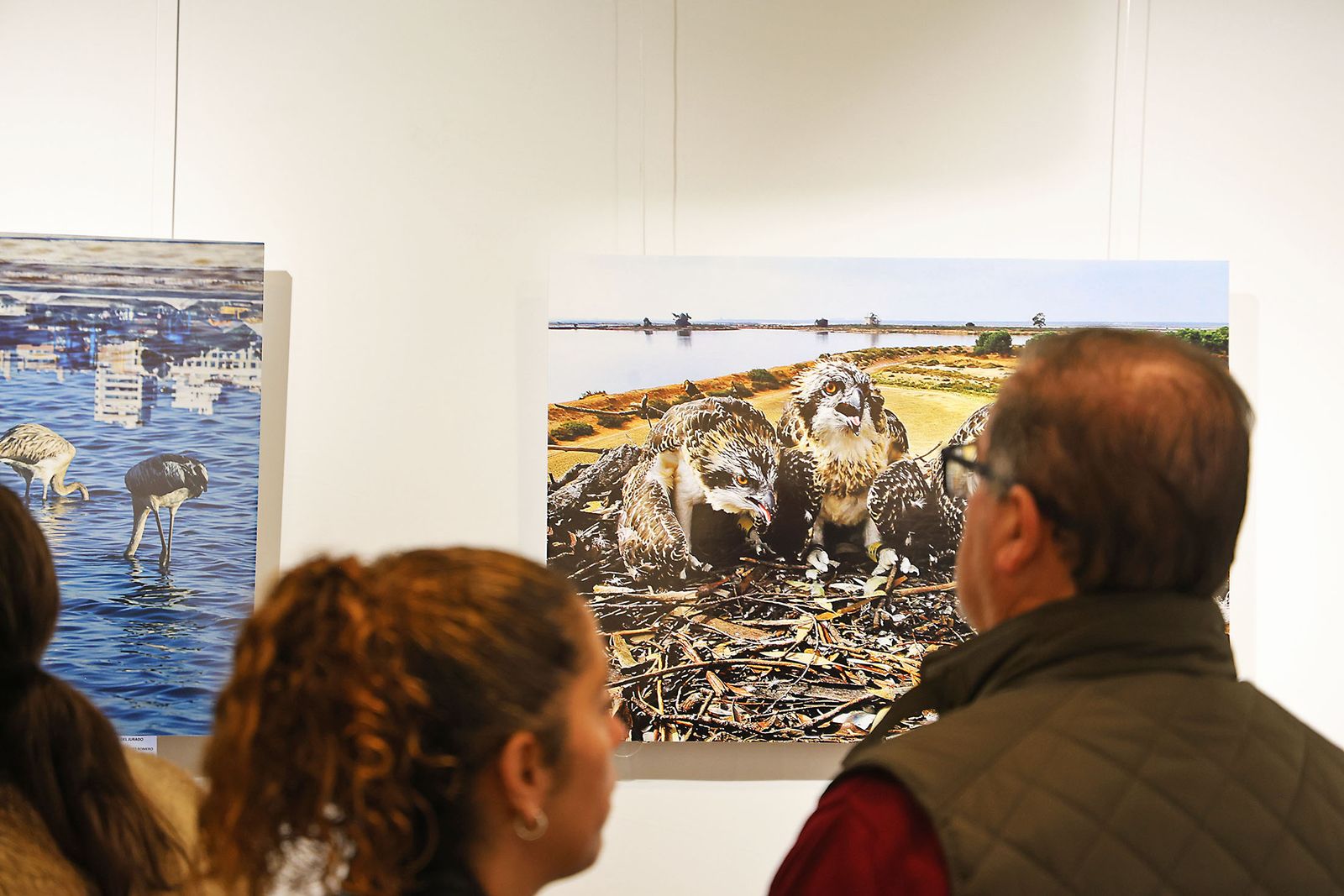 Exposición del Concurso de Fotografía 'Alas del Odiel'
