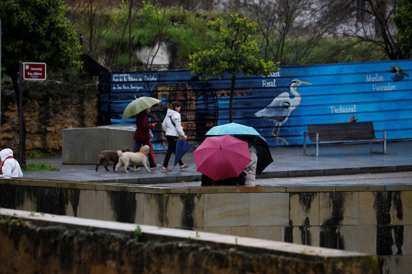 El paso del temporal por Córdoba, en imágenes