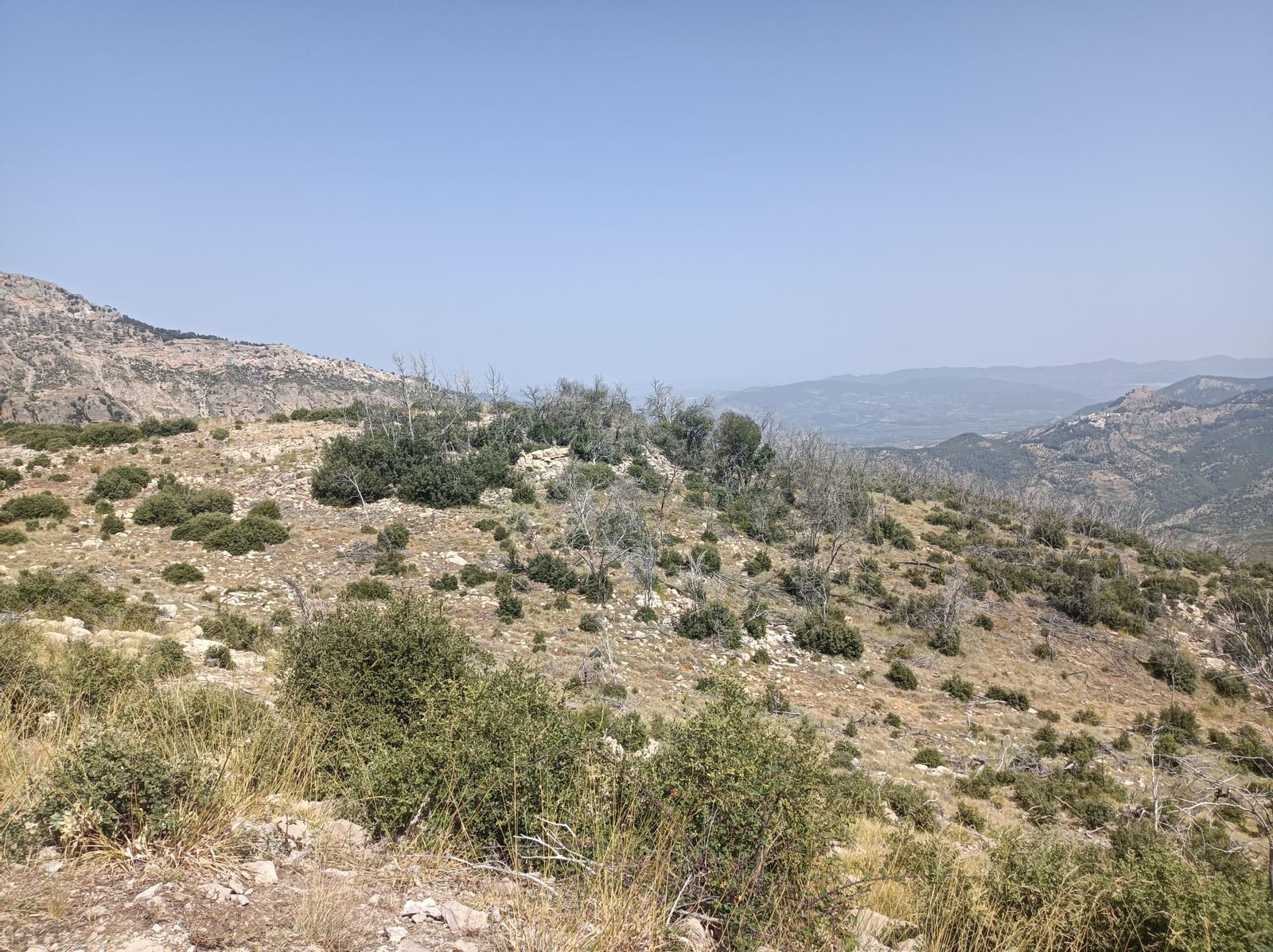 Así se regenera Segura de la Sierra tras el incendio forestal de 2017 Así se regenera Segura de la Sierra tras el incendio forestal de 2017