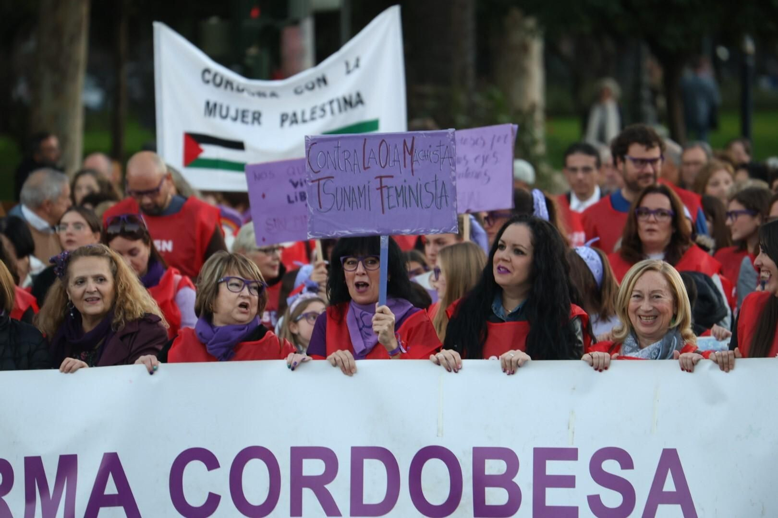 La manifestación del 25N en Córdoba, en imágenes