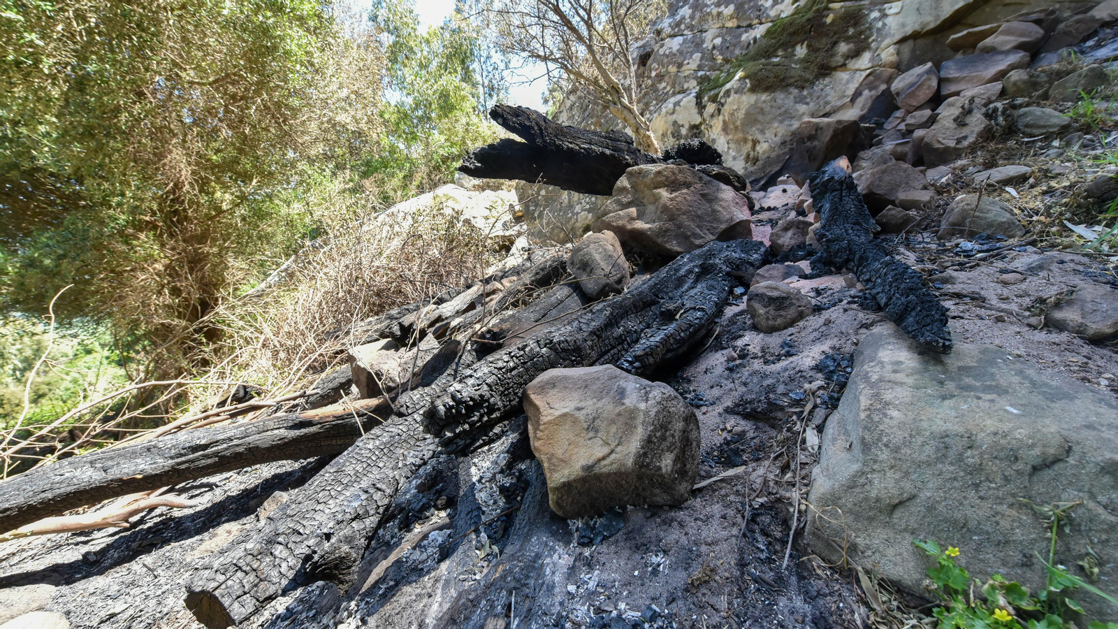 Fotos de la zona de Betijuelos incendiada