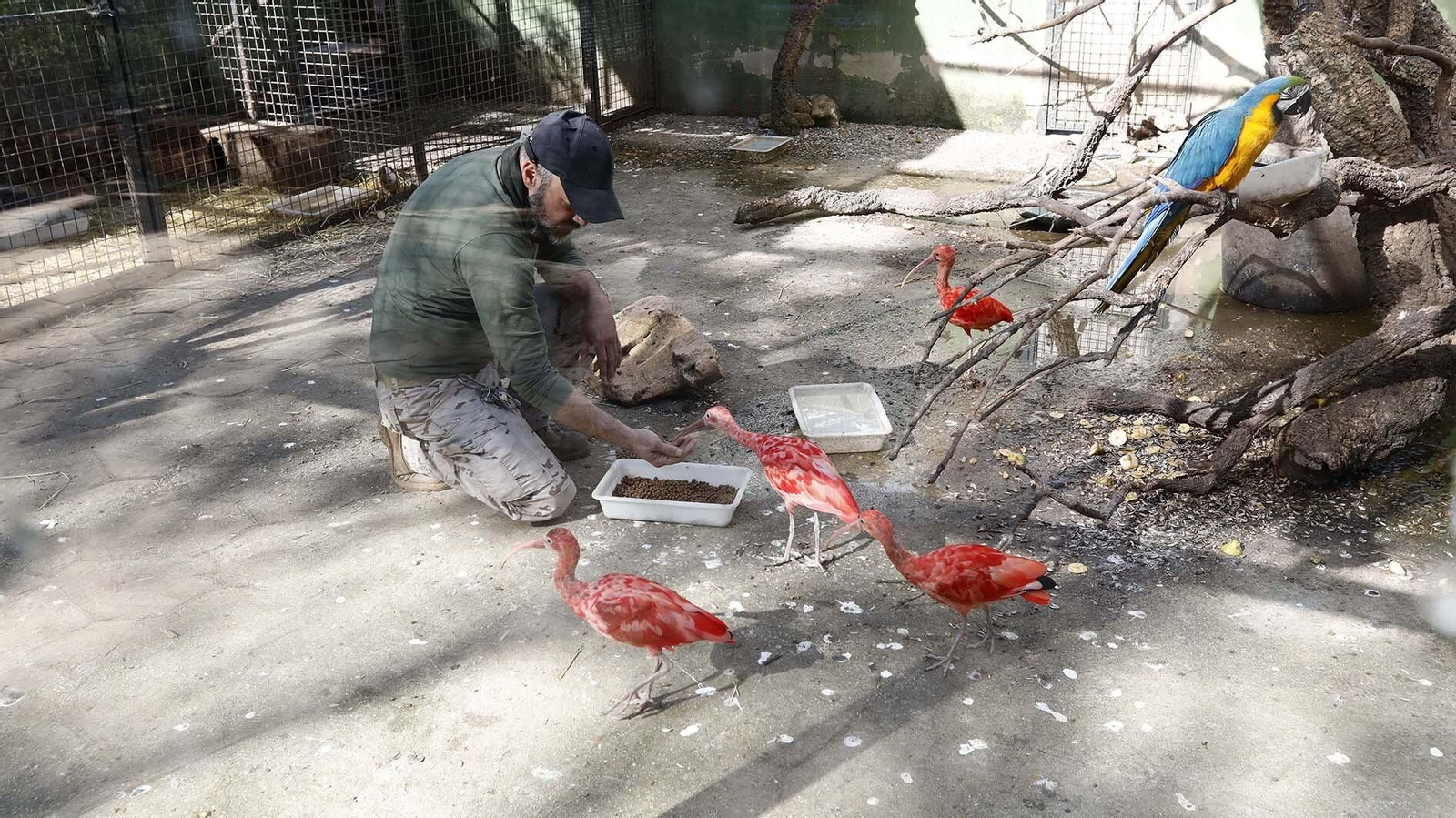 Las fotos del Zoo de Castellar de la Frontera