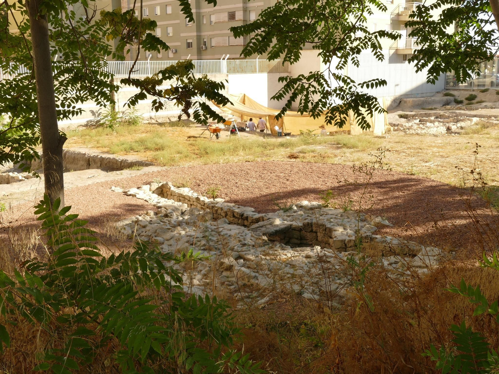 Así está siendo el Campo de Voluntariado de Marroquíes Bajos en 2024