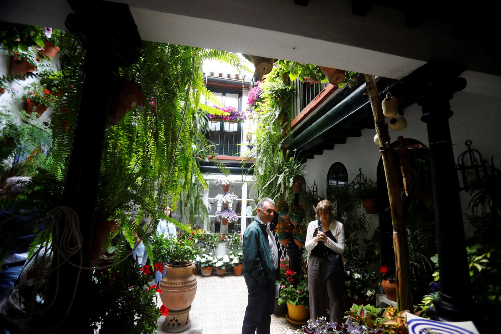 Los patios de Córdoba de la ruta Judería-San Francisco, en imágenes