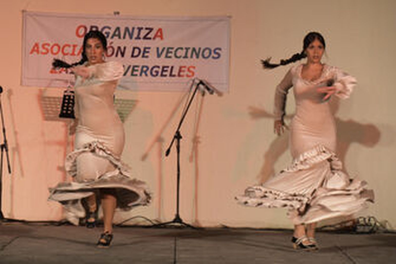 El pistoletazo de las fiestas del Zaidín en imágenes