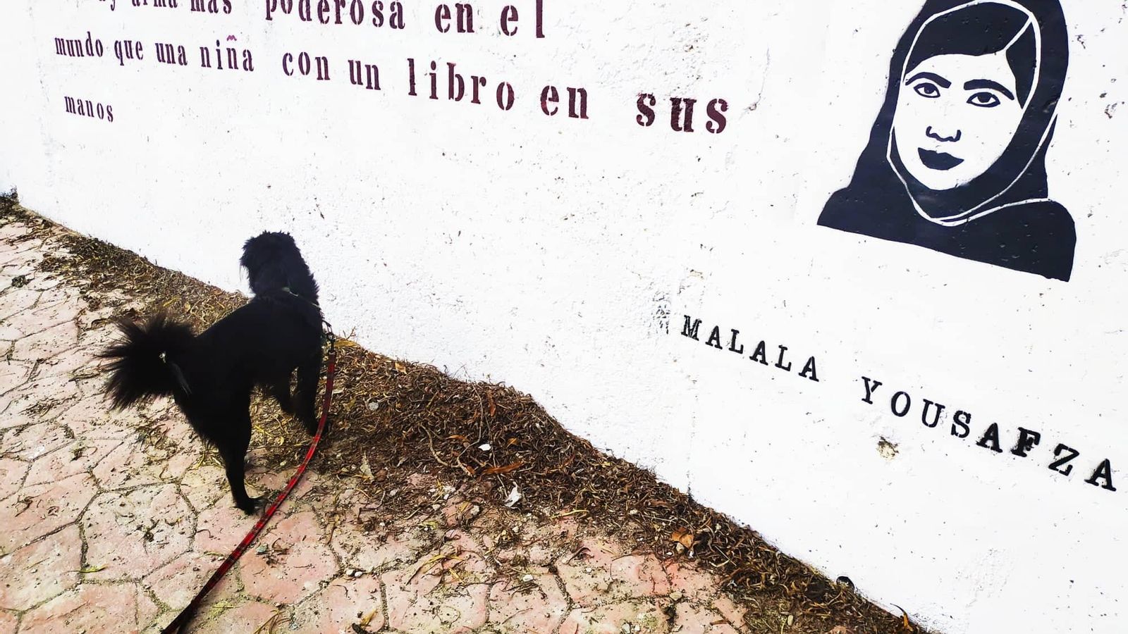 Frase de Malala Yousafza en uno de los muros de la localidad.