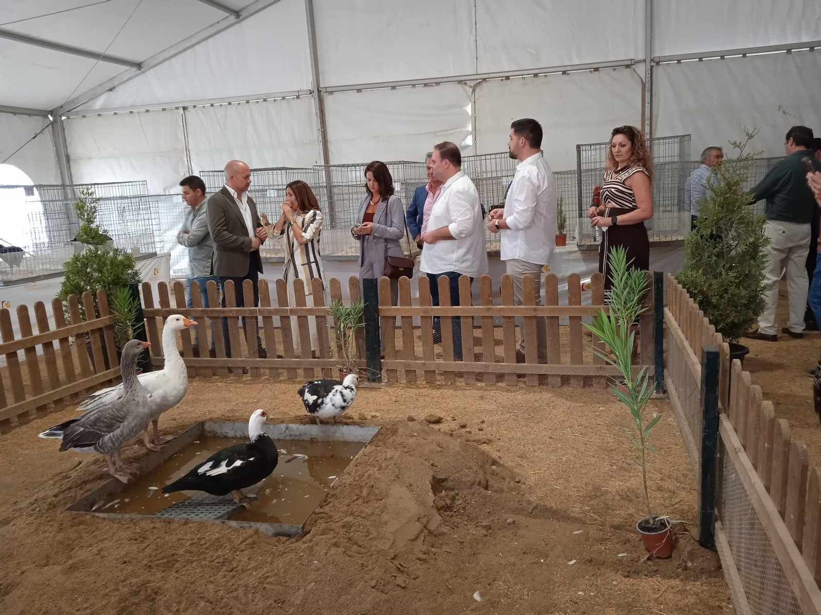 Un recorrido en imágenes por FAGA, la Feria Agroganadera de Fuente Obejuna