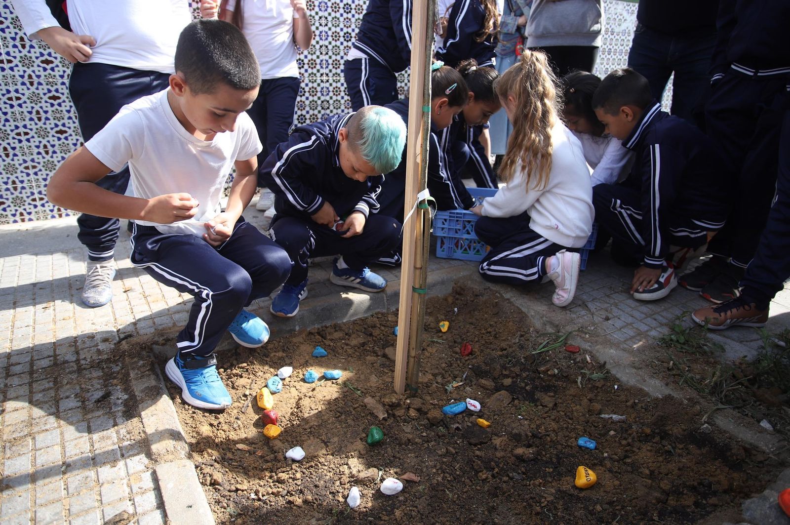 Imágenes la plantación de árboles en la Barriada de la Navidad por alumnos del Colegio Virgen de Belén
