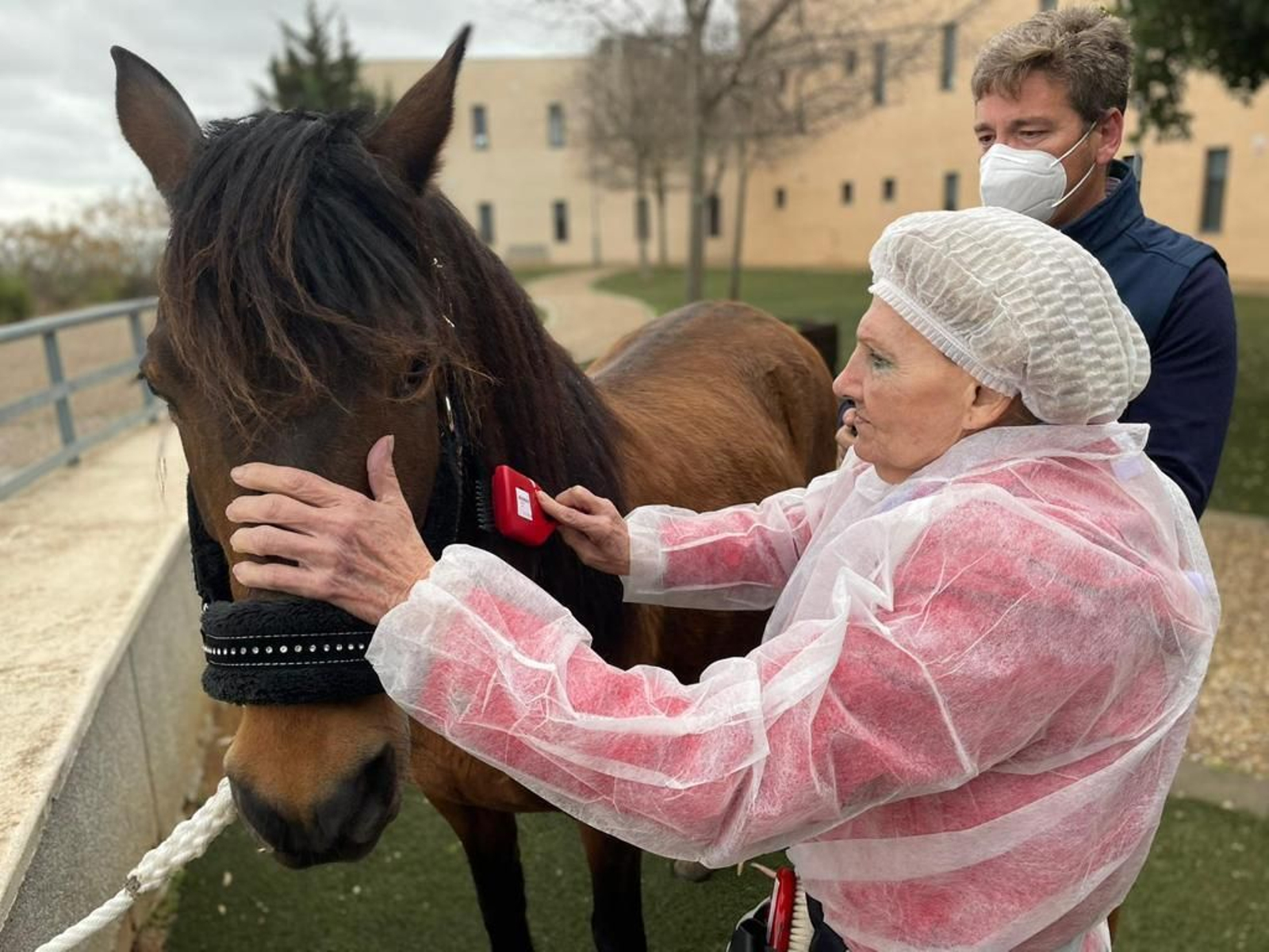 Una residente del centro de mayores Alconchel, de la Fundación Gerón, en Mairena del Alcor, durante una de las terapias con caballos ya celebradas.