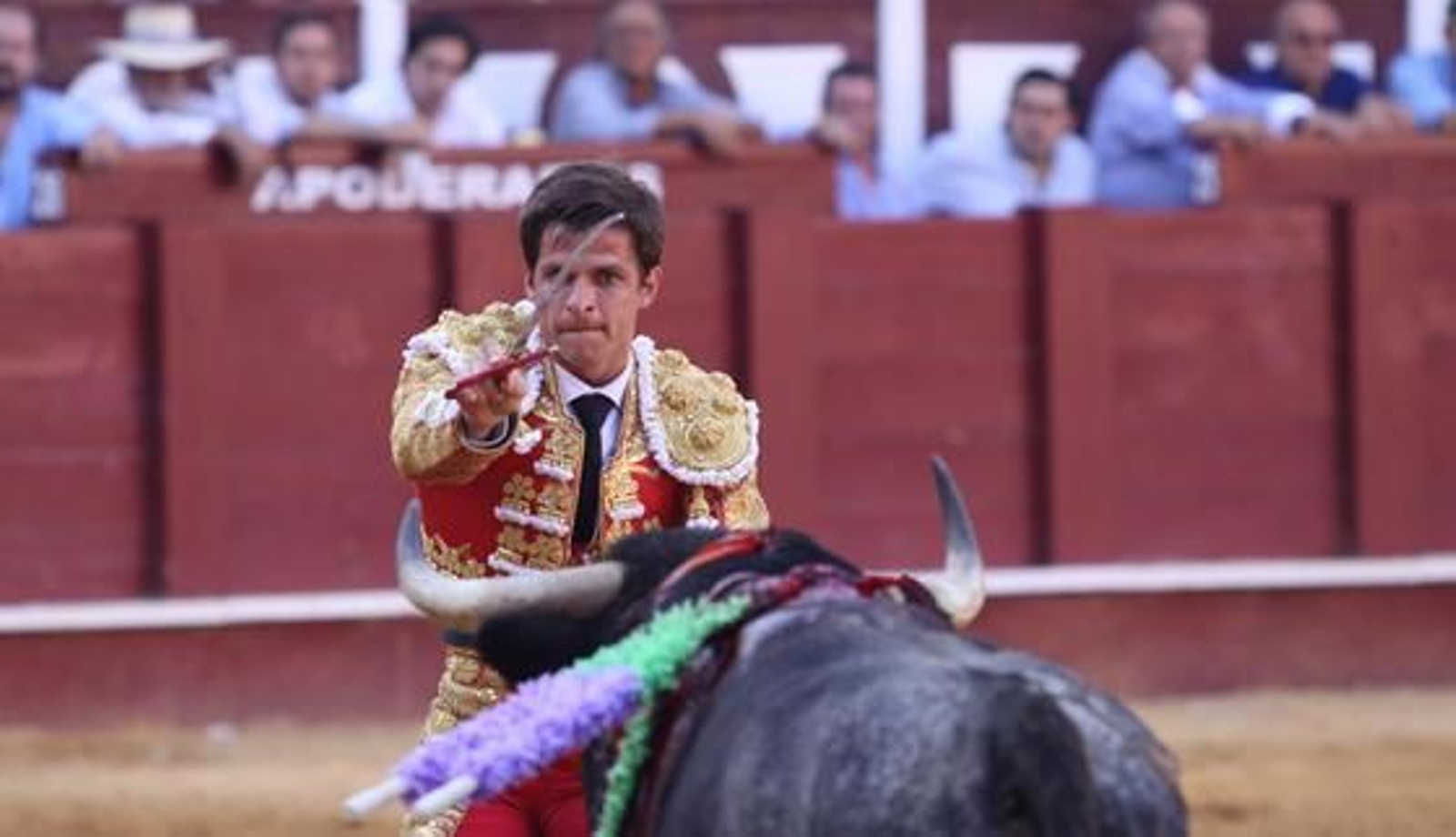 El Juli se dispone a entrar a matar

Foto: Javier Albiñana