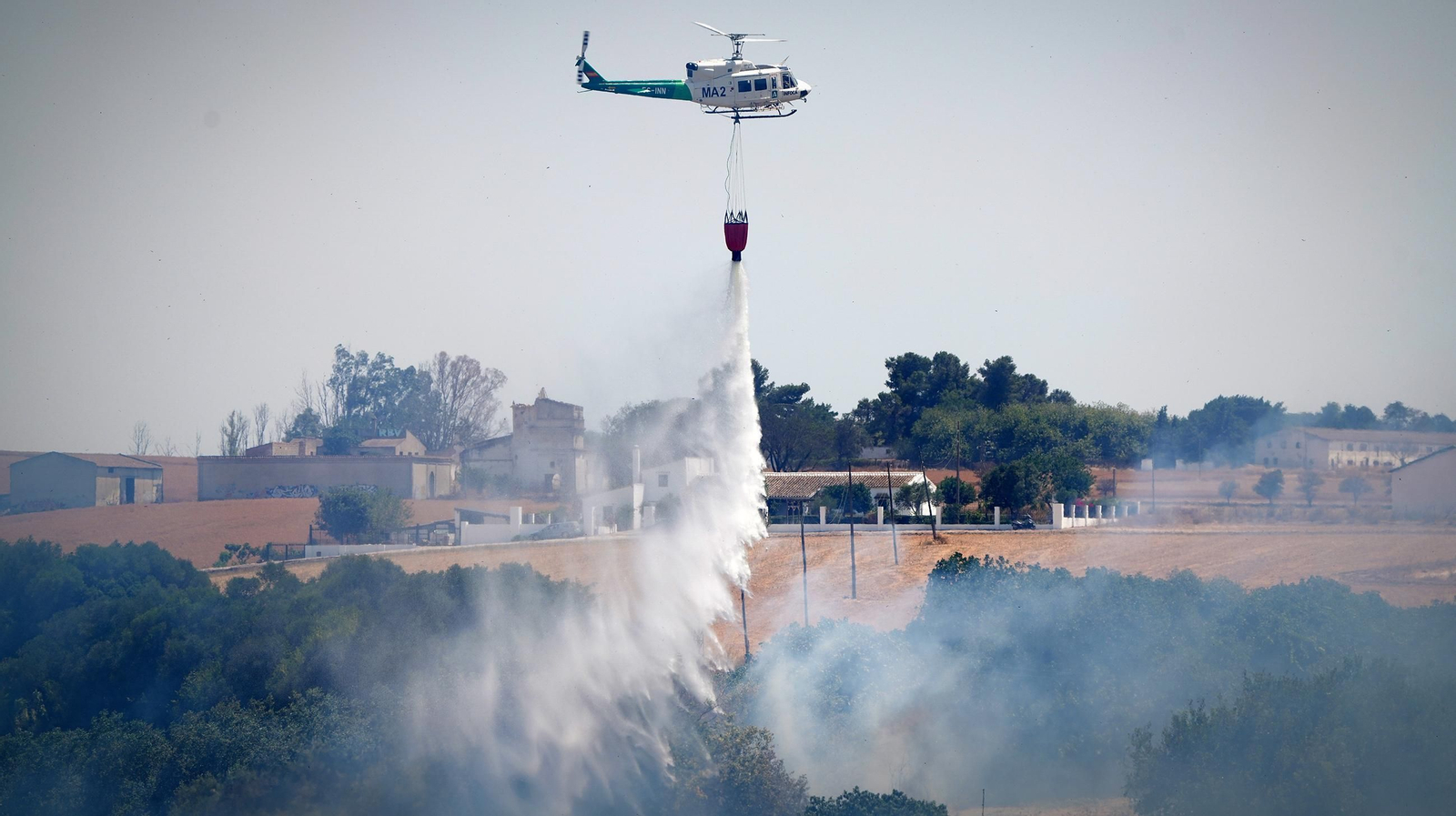 Muere un caballo después de que la manada fuese liberada