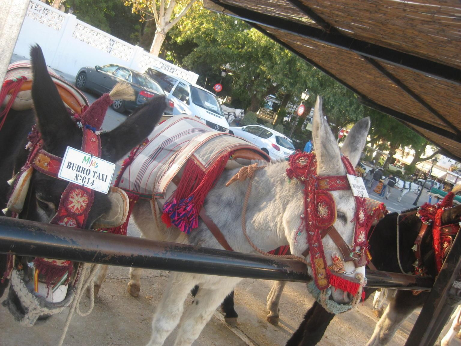La parada de los burro-taxis en Mijas Pueblo.