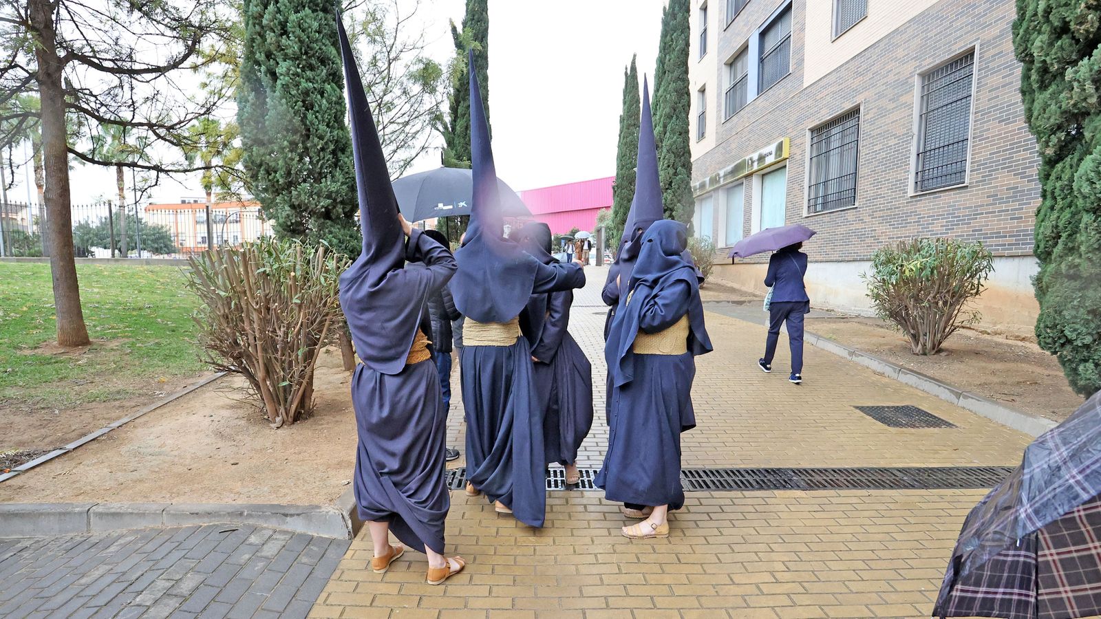 Domingo de Ramos: Hermandad del Perdón
