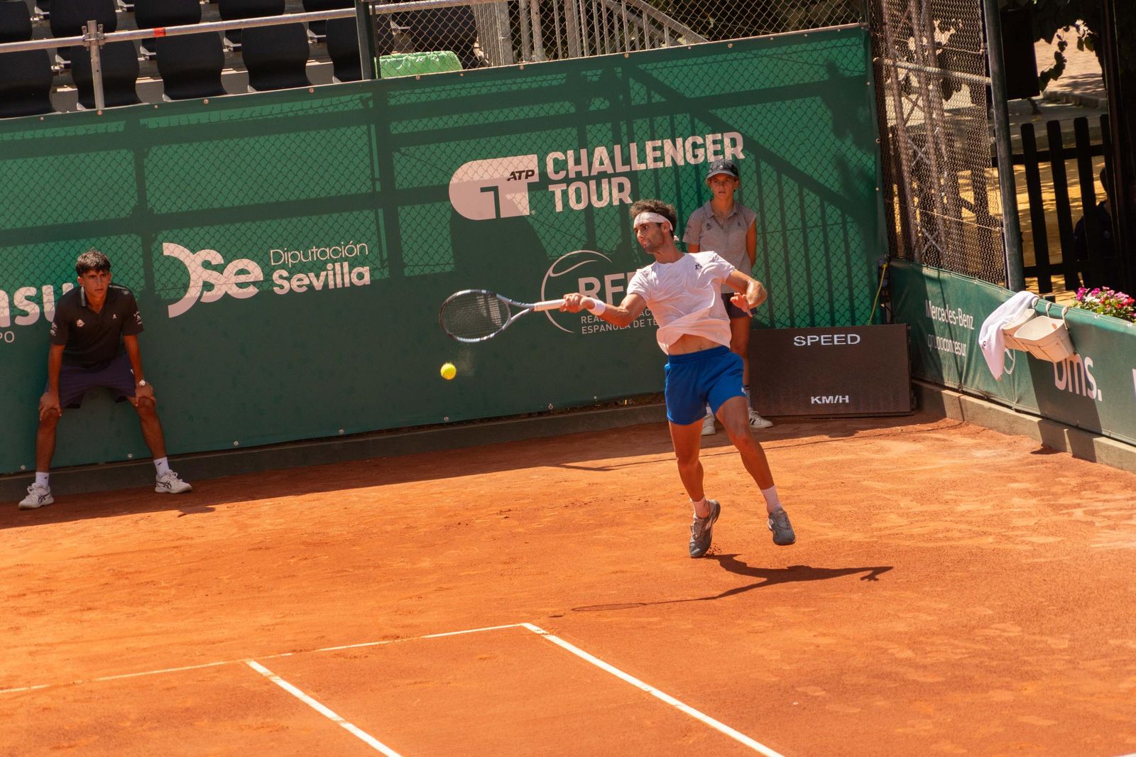 Buse - Taberner (17).jpg