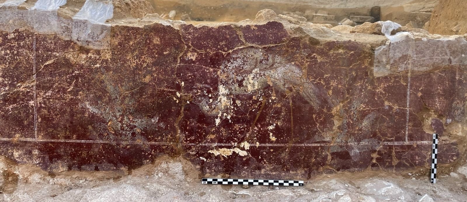 Pintura de un ganso rodeado de juncos en una estancia localizada junto a la colección de placas funerarias