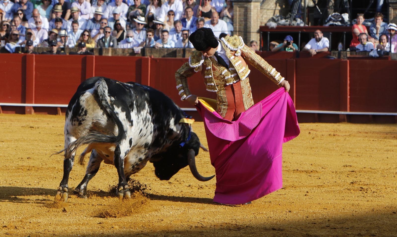 Toros.Morante , El Juli y Perera