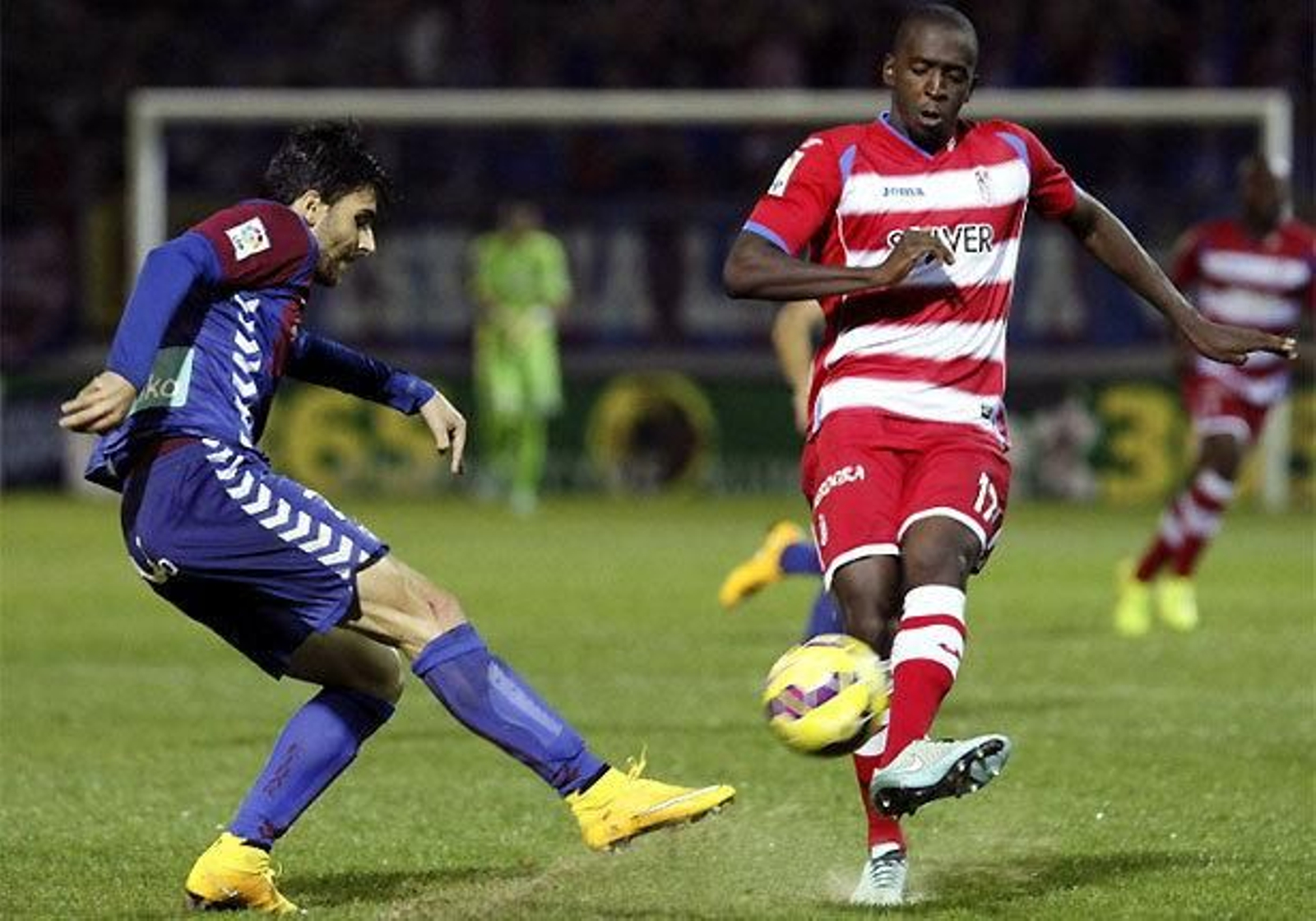 Pura leche de vaca (1-1)