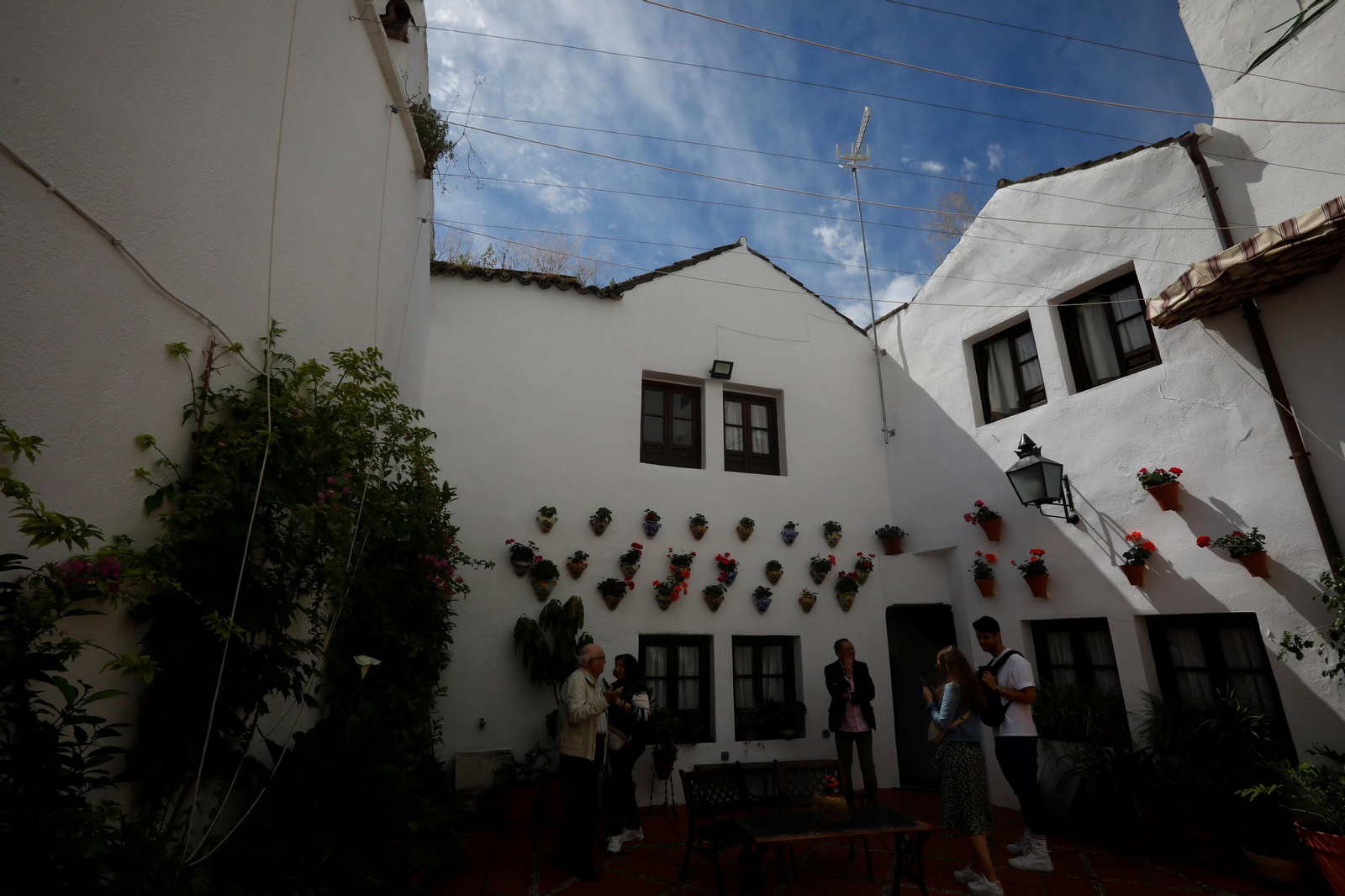 Los patios de Córdoba de la ruta Judería-San Francisco, en imágenes