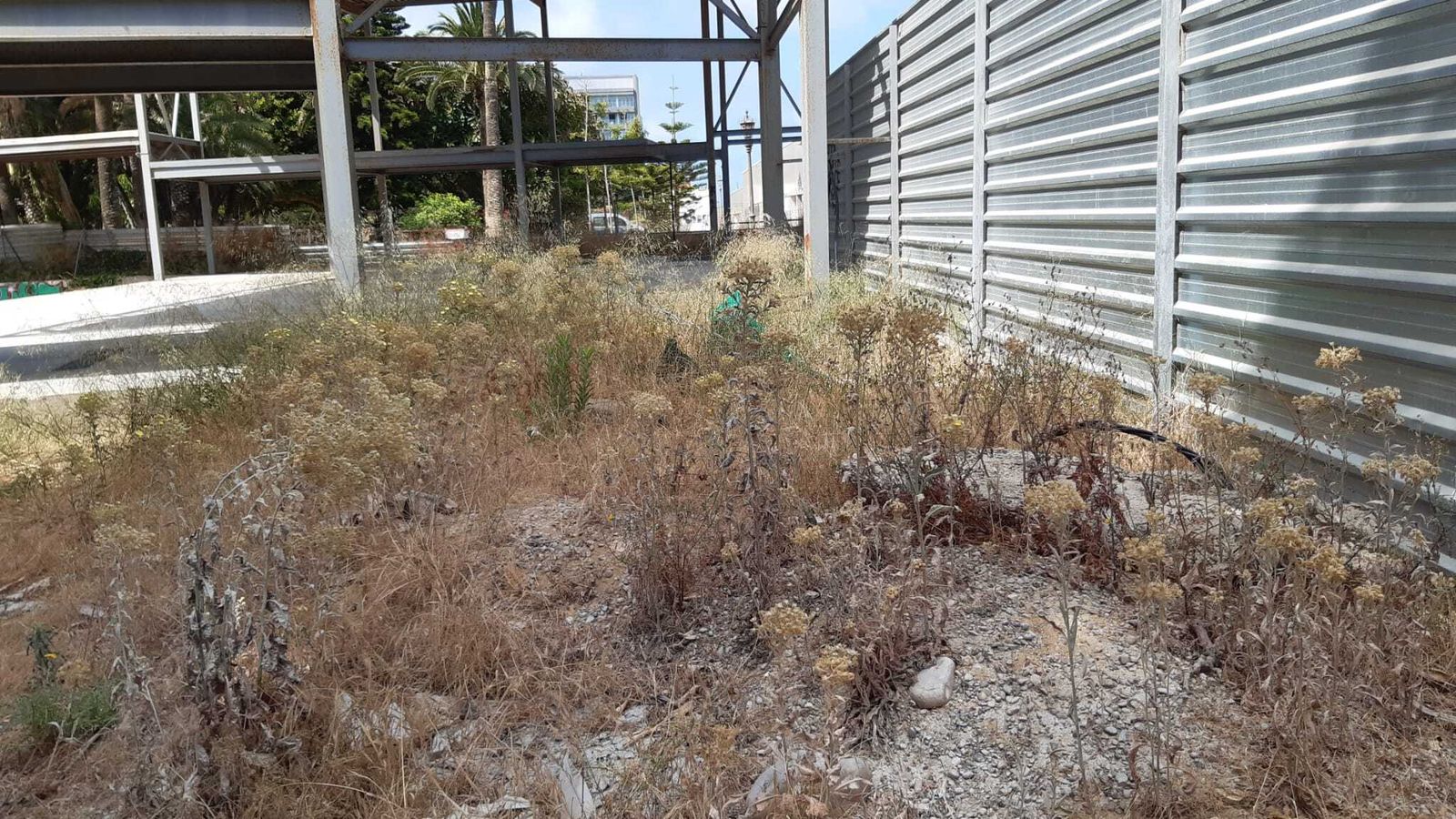 Maleza junto al Teatro del Parque, que está pendiente de rehabilitar.